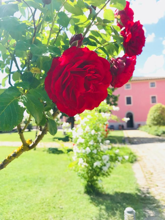 Antico Borgo De Romolini Villa Sansepolcro Eksteriør billede